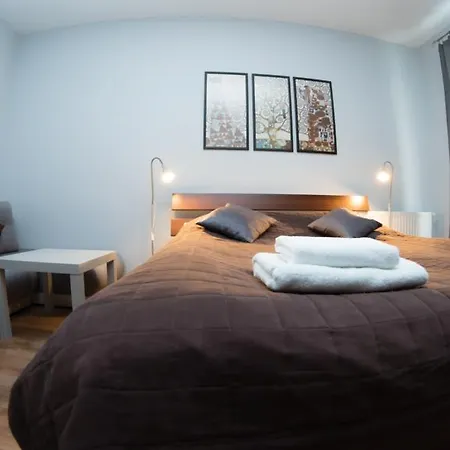 Apartment Sedinum - Modern