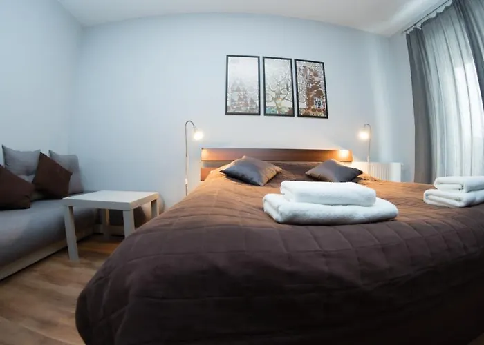 Apartament Sedinum - Modern